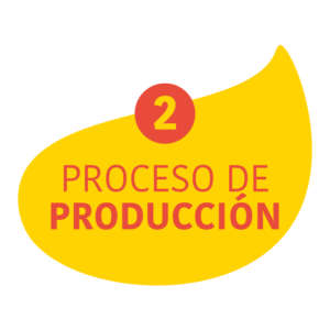 Proceso de producción